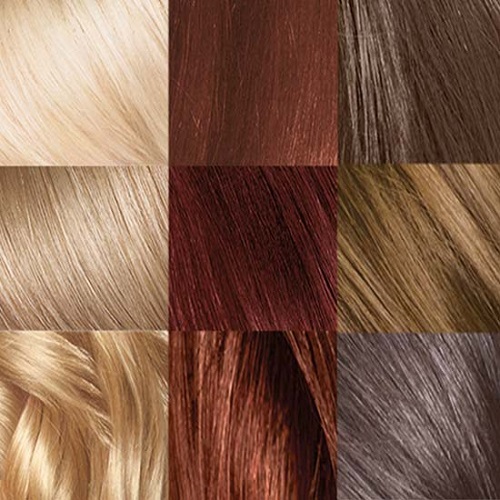 LOreal Paris Infinia Preference Hair Color Buy Online at Best Prices in  Bangladesh AmarJhuri